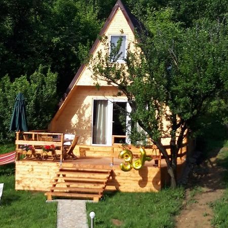 Cabana Din Livada Pucioasa 외부 사진
