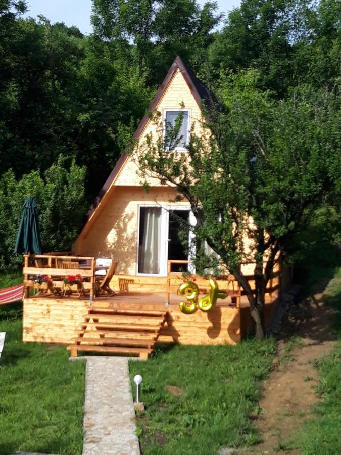 Cabana Din Livada Pucioasa 외부 사진